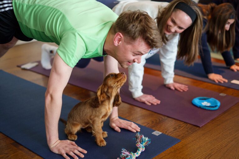 Puppy Yoga Cambridge, Puppy Yoga Leicester, and Puppy Yoga Norwich – The Ultimate Experience with The Paw Studio