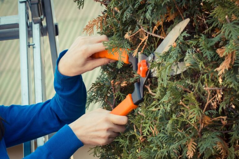 Springfield, MO – Springfield Tree Removal Pros continues to support local homeowners and businesses with dependable, professional tree removal services across Springfield, Missouri. Known for their safety-first approach and efficient workmanship, the company helps property owners manage hazardous, damaged, or unwanted trees while protecting surrounding structures and landscapes. Springfield Tree Removal Pros specializes in complete tree removal solutions designed to improve outdoor safety and enhance property appearance. Trees can become a serious concern when affected by storms, disease, or structural weakness. Left untreated, these issues may lead to property damage or personal injury. The company addresses these risks with careful assessments and proven removal techniques, ensuring every project is completed with precision and care. Professional Tree Removal Services Tree removal requires experience, proper equipment, and strict safety standards. Springfield Tree Removal Pros delivers reliable services for both residential and commercial properties, handling projects of all sizes. From single tree removals to larger property clearances, the team approaches each job with detailed planning and attention to surrounding features such as fences, buildings, and landscaping. Each removal begins with a thorough evaluation to determine the safest and most effective method. The company focuses on minimizing disruption while completing work efficiently. By combining professional tools with skilled execution, Springfield Tree Removal Pros helps clients resolve tree concerns without unnecessary stress. Supporting the Springfield Community Serving the Springfield area, the company understands the unique challenges local property owners face, especially after severe weather or seasonal changes. Trees weakened by high winds or heavy rainfall often pose hidden dangers. Springfield Tree Removal Pros responds promptly to these situations, offering dependable solutions that restore safety and peace of mind. The company works closely with homeowners, landlords, and business operators to ensure clear communication throughout every stage of the process. Transparent service and customer-focused results remain central to their approach, making them a trusted choice for tree removal needs in the community. Media Contact Springfield Tree Removal Pros Email: info@springfieldtreeremovalpros.com Website: https://springfieldtreeremovalpros.com/ Location: Springfield, MO